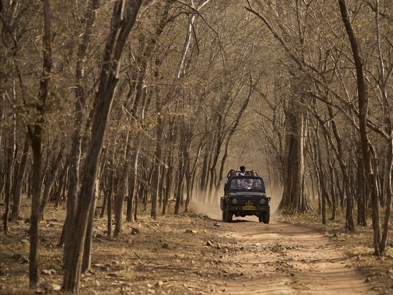 johila-jeep-safari-img